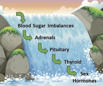 waterfall of the impact of blood sugar regulations on hormones